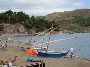 IMG_6278