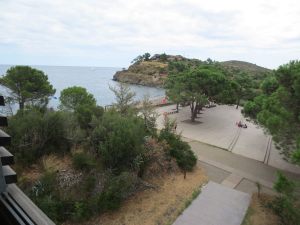 IMG_6281