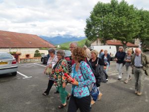 IMG_6597