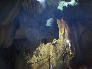 IMG_6851